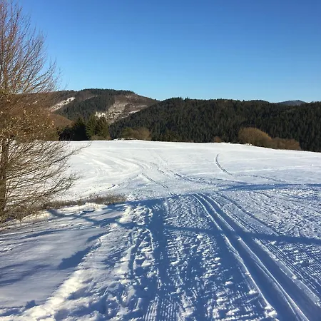 U Mateja C12